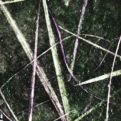 Tangled Green Lines by Christina Sillen