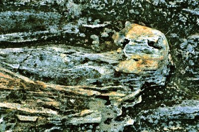 Textured Earth Layers by Christina Sillen