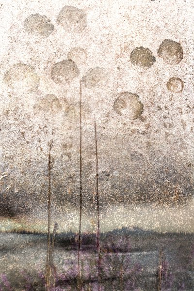 Textured Lake Reeds by Christina Sillen