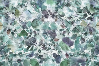 Tranquil Teal Foliage by Christina Sillen