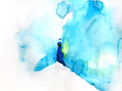 Elegant Blue Peacock by Christine Lindstrom