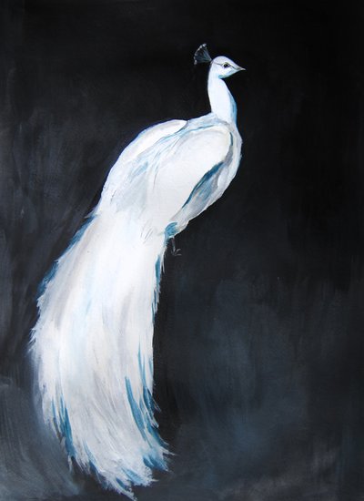 Elegant White Peacock by Christine Lindstrom