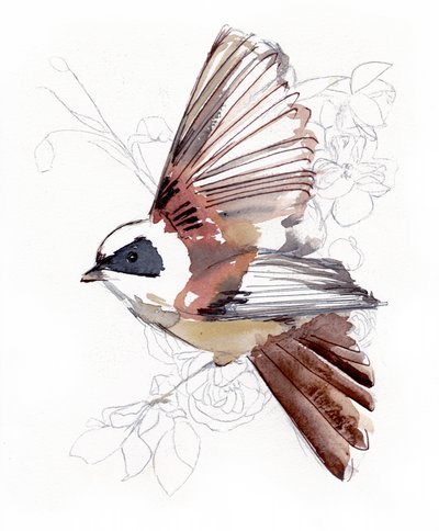 Flying Watercolor Bird by Christine Lindstrom