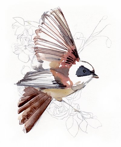 Flying Watercolor Bird by Christine Lindstrom
