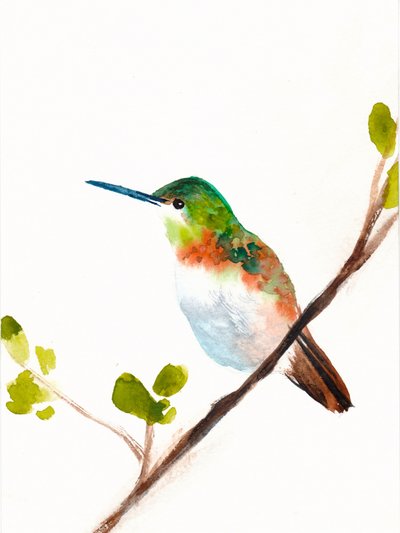 Green Hummingbird Perched by Christine Lindstrom