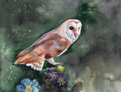 Nocturnal Barn Owl by Christine Lindstrom