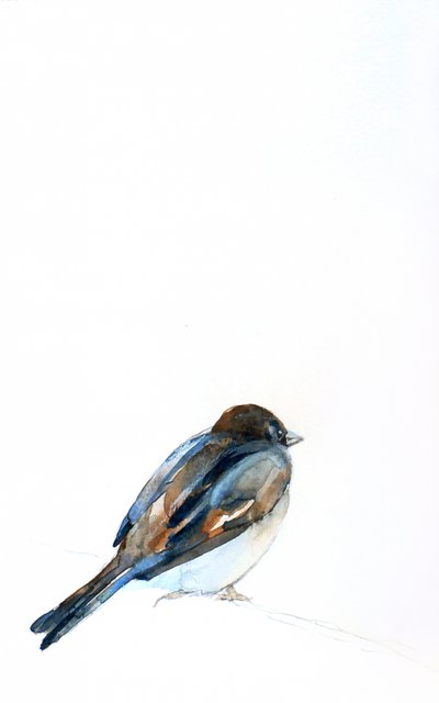 Perched Sparrow Watercolor by Christine Lindstrom