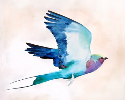 Vibrant Bird In Flight by Christine Lindstrom