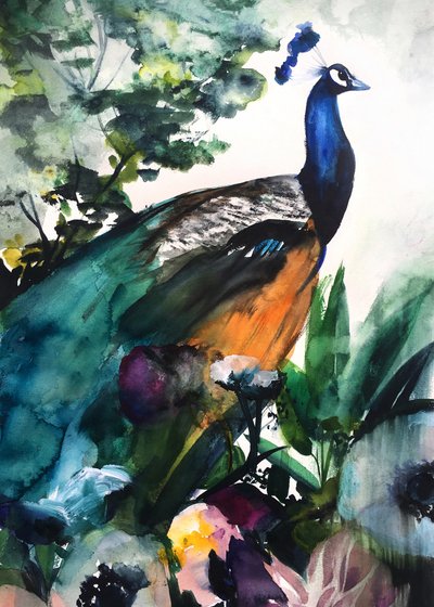 Vibrant Peacock Garden by Christine Lindstrom