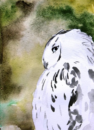 Watercolor Snowy Owl by Christine Lindstrom