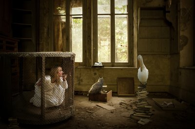 Caged Woman and Pelican by Christine von Diepenbroek