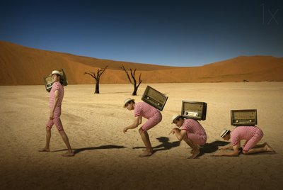 Desert Radio Traveler by Christine von Diepenbroek