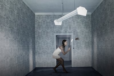 Giant Insect Intruder by Christine von Diepenbroek