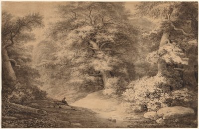 A Beech Wood with a Resting Traveler by Christoph Nathe