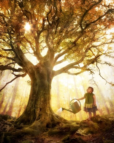 Child Waters Golden Tree by Christophe Kiciak