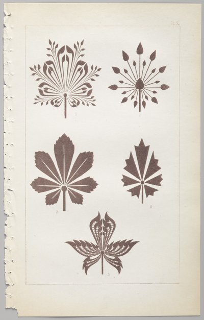 The Art of Decorative Design: With an Appendix, Giving the Hours of the Day at Which Flowers Open, Published by Day & Son, London, 1862 by Christopher Dresser