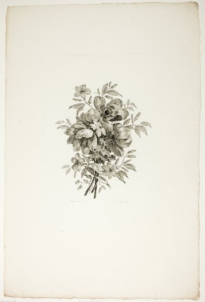 Bouquet with Poppies, from Collection of Different Bouquets of Flowers, Invented and Drawn by Jean Pillement and Engraved by P. C. Canot by Christopher Norton