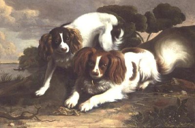 Two King Charles Spaniels Playing with a Frog by Christopher Pierson