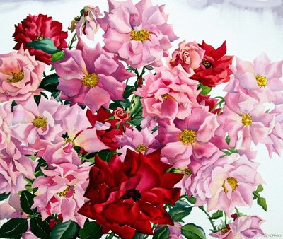 Red and Pink Roses, 2008 by Christopher Ryland