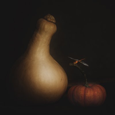 Autumn Squash Dragonfly by Cicek Kiral