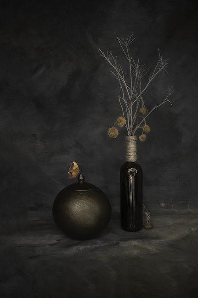 Butterfly and Dried Botanicals by Cicek Kiral