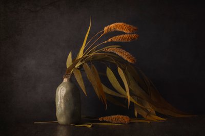 Dried Botanical Still Life by Cicek Kiral