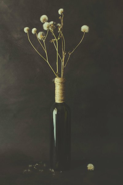 Dried Dandelion Bottle by Cicek Kiral