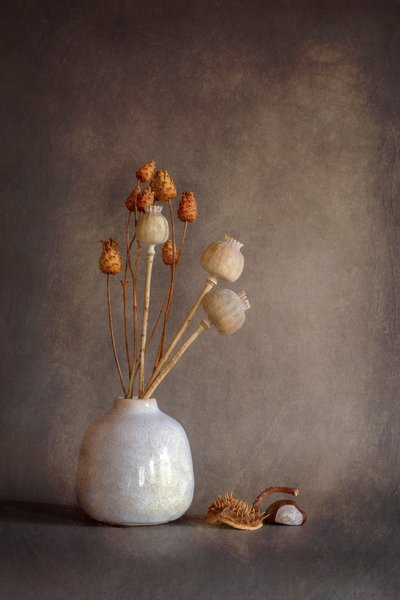 Dried Poppy Still Life by Cicek Kiral
