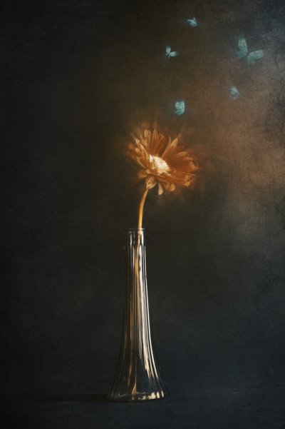 Glowing Flower Butterflies by Cicek Kiral