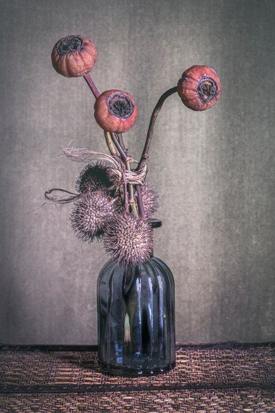 Moody Dried Pods by Cicek Kiral