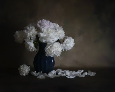 White Peonies Still Life by Cicy Chen