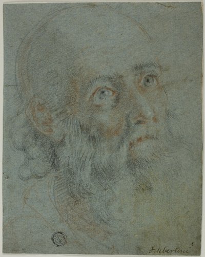 Head of a Bearded Man, Looking Up to Right (detail) by Cigoli