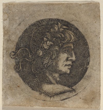Head of a Roman Emperor by Circle of Francesco Francia