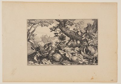 Tree and Melons, from Landscapes by Claes Jansz. Visscher