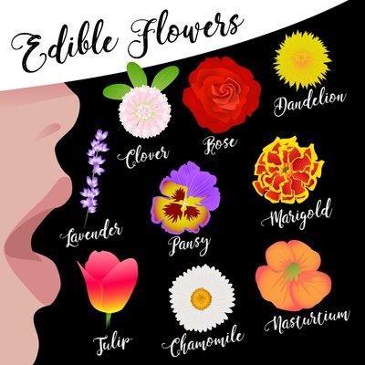 Edible Flowers by Claire Huntley