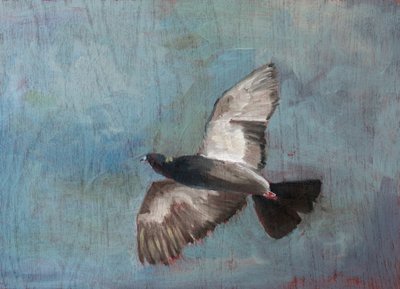 Graceful Flying Pigeon by Claire Lerner