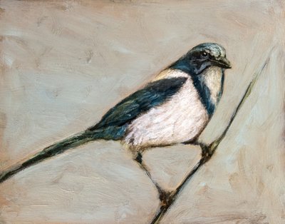 Quiet Magpie on Branch by Claire Lerner