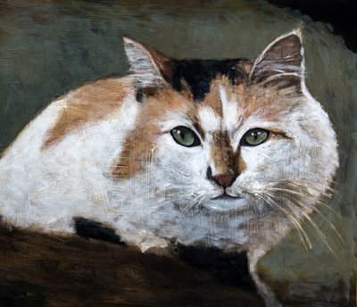 Watchful Calico Cat by Claire Lerner