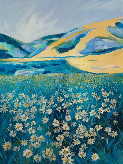 Golden Hills Daisy Field by Claire Whitehead