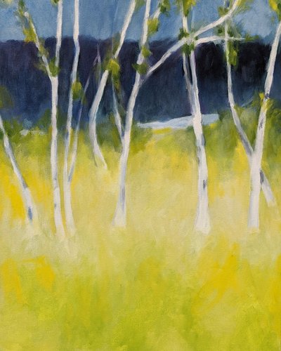 Serene Birch Meadow by Claire Whitehead