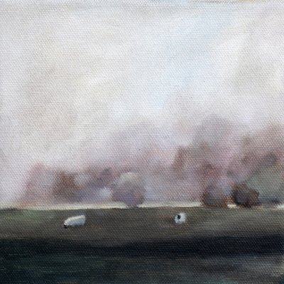 Sheep in a Quiet Field by Claire Whitehead