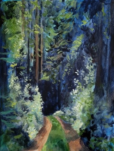 Sunlit Forest Path by Claire Whitehead