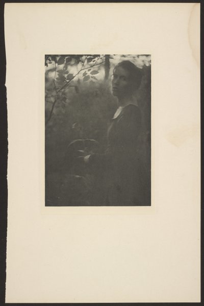 Edge of the Woods -- Evening by Clarence H. White