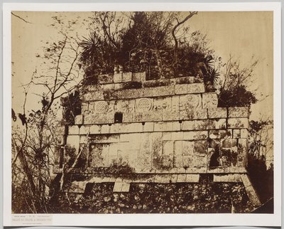 Palace of the Circus at Chichen-Itza (bas relief of tigers) by Claude Joseph Désiré Charnay