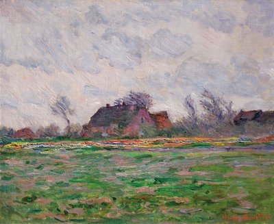 Tulip fields near Leiden by Claude Monet