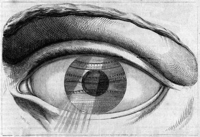 A glance at the theatre of Besancon by Claude Nicolas Ledoux