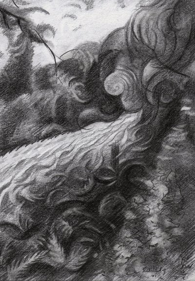 Dark Forest Stream Flow by Corné Akkers