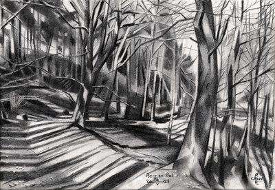 Forest Path Shadows by Corné Akkers