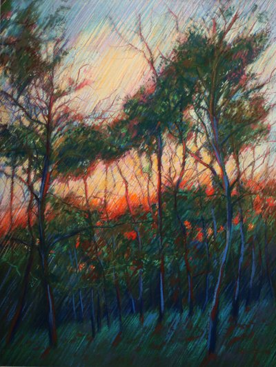 Forest Sunset Glow by Corné Akkers