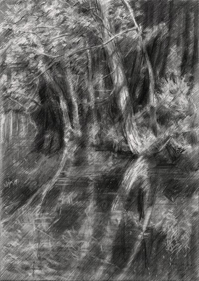 Shaded Forest Stream by Corné Akkers